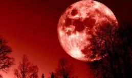 Tháng Cửu độc 2022 là tháng mấy? 9 ngày cực ‘độc’ trong tháng Cửu độc nhất định phải thận trọng