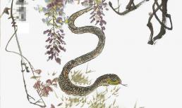 Bước sang tháng 6, ba con giáp dự đoán sẽ 'bùng nổ tài lộc' 