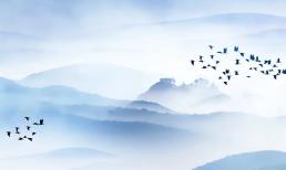 Những người có 4 đặc điểm trên bàn ăn thường là người xấu tính