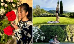 Hồng Nhung và bạn trai Tây cùng cặp song sinh tận hưởng cuộc sống thư thái trong khu vườn rộng 6 héc-ta 