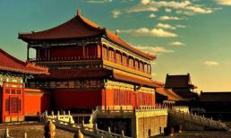 Tại sao trên mái Tử Cấm Thành rộng lớn lại không bao giờ thấy một vết phân chim? Đọc xong, tôi thực sự khâm phục trí tuệ của người xưa