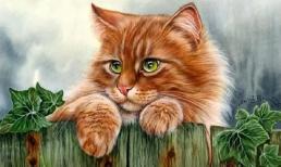 Cuối tuần (4 - 5/6): Hung vận lấn át, xui xẻo đeo bám, 3 con giáp làm gì cũng phải thận trọng kẻo rước họa vào thân