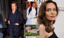 Brad Pitt lại buộc tội vợ cũ Angelina Jolie cố tình 'gây hại' cho mình