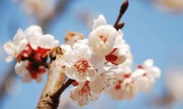 Trong 2 tháng tới, các ngôi sao may mắn chiếu mệnh, Thần Tài trợ giúp, 3 con giáp này của cải đầy nhà 