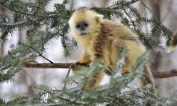 Đúng Rằm tháng 5 âm lịch: 3 con giáp được Thần Tài 'chấm sổ', tài lộc nhảy vọt, cuộc sống ngày càng thăng hoa viên mãn