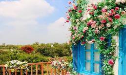 Phụ nữ càng thông minh thì càng ít tranh giành sự 'sủng ái' của đàn ông vì ba điều này