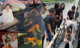 Sao Việt 12/6: 'Vua cá Koi' có chia sẻ mới về bà xã Hà Thanh Xuân sau ồn ào; Một ban nhạc nổi tiếng gặp sự cố trên đường đi diễn 