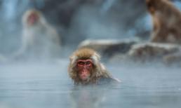 Khổ tận cam lai, 3 con giáp ăn nên làm ra, tài lộc nở rộ trong 15 ngày cuối tháng 6