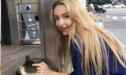 Năm chòm sao nữ này sẽ gặt hái được tình yêu đích thực vào mùa hè, thậm chí còn có thể mặc váy cưới bước vào cung điện hôn nhân