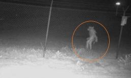 Sinh vật bí ẩn giống người ngoài hành tinh xuất hiện trong camera giám sát gây xôn xao mạng xã hội