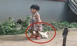 'Tiểu công chúa' về nông thôn, chỉ trong giây lát đã trở thành 'bạo chúa của làng', con ngan lớn: Khi nào thì cô bé rời đi, tôi không thể chịu đựng được nữa!