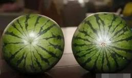 Khi mua dưa hấu, lấy tay vỗ nhẹ sẽ không hiệu quả, hãy ghi nhớ “4 điểm” này, nông dân trồng cây ăn quả sẽ khen bạn về chuyên môn đấy