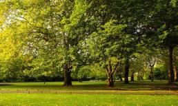 Khoảng cách giàu nghèo chỉ nằm trong 5 điều này, bạn đã bỏ lỡ bao nhiêu?