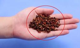 Dù nhà có tiền hay không thì cũng nhớ rắc hạt tiêu dưới gầm giường nhé, đó không phải là mê tín dị đoan, về nhà làm thử xem sao nhé!