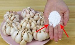 Hóa ra bảo quản tỏi rất đơn giản, chỉ cần một nắm baking soda, cả năm trời sẽ không bị thối hay nảy mầm