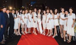 CEO Top White tự hào với đội ngũ nhân viên chuyên nghiệp và đẳng cấp