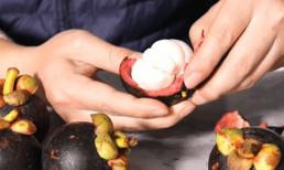 Vì sao măng cụt được mệnh danh là 'nữ hoàng trái cây' và đắt đỏ, hóa ra công đoạn hái khó đến vậy!