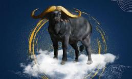 Chia buồn với 3 con giáp xui xẻo tuần này (20/6 - 26/6), vận trình ảm đạm, tài lộc kém phát triển