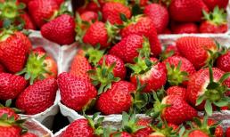 Phụ nữ muốn có làn da đẹp thì nên ăn nhiều hơn 3 loại thực phẩm để chăm sóc da và cải thiện vóc dáng