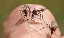 Muỗi đốt có thể truyền nhiều bệnh nguy hiểm, đây là cách bảo vệ bạn và trẻ nhỏ khỏi bị muỗi đốt