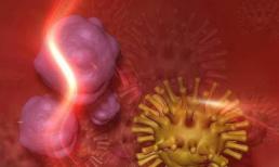 Khi đi đại tiện vào buổi sáng, nếu xuất hiện 3 'tình huống' này thì có thể là 'tế bào ung thư' đã xuất hiện