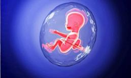 Chỉ số IQ của trẻ phụ thuộc vào bố mẹ? Sự thật khác xa những gì bạn nghĩ, và bạn không thể coi thường bất kỳ khía cạnh nào trong ba khía cạnh này