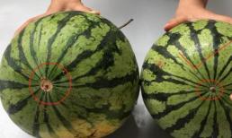 Khi mua dưa hấu, bạn đừng chỉ dùng tay vỗ vỗ nhé! Hãy ghi nhớ 4 mẹo sau, dưa hấu ăn ngọt sắc và giòn