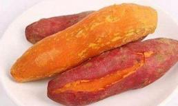 Nghiên cứu Nhật Bản: Khoai lang có thể loại bỏ 98,7% tế bào ung thư, có đáng tin không? Bác sĩ cho bạn biết câu trả lời