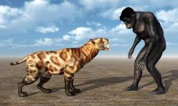 Con người mất toàn bộ lông trên cơ thể, nhưng vẫn giữ được lông trên đầu và các bộ phận riêng tư. Tại sao lại như vậy?