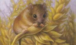 Họa tiểu nhân đeo bám cuối tuần này (25 - 26/6), 3 con giáp cần cực kỳ thận trọng kẻo vướng hệ quả khôn lường