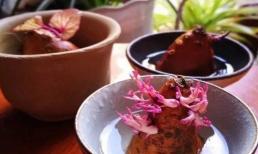 Mùa hè nhiệt độ cao như vậy, tốt hơn nên trồng cây thủy canh, một ít rễ rau củ ăn thừa có thể trồng thành một chậu cây nhỏ