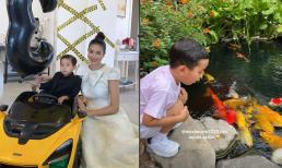 Phạm Hương khoe cảnh cậu cả  'tâm sự' với đàn cá cực yêu, vẻ ngoài phổng phao và chững chạc lập tức gây chú ý
