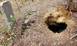 Tại sao luôn tìm thấy rắn trong các ngôi mộ? Nó có thực sự là vấn đề tâm linh? Chỉ cần nhìn vào cấu trúc của con rắn để hiểu