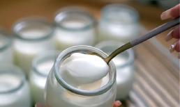 Không cần máy làm sữa chua, bạn có thể tự làm sữa chua tại nhà, cách làm đơn giản và vị sữa đậm đà