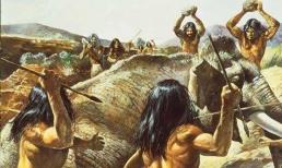 Có hàng triệu loài trên trái đất, tại sao chỉ mỗi con người cần mặc quần áo để giữ ấm?