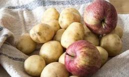 Việc bảo quản khoai tây đơn giản vậy thôi, chỉ cần thêm 'nó' vào là cả nửa năm không nảy mầm