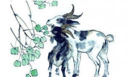 3 con giáp nửa đời gian khổ nhưng về già phú quý ngập nhà, sống trường thọ