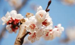 Bồ Tát phù hộ, 3 con giáp của cải tăng vọt, làm ăn phát tài, phú quý không thiếu trong 3 năm tới