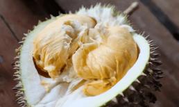 Cách khử mùi sầu riêng trong tủ lạnh