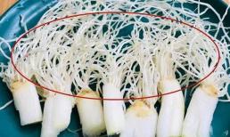 Củ hành là 'bảo bối', trụng qua nước sôi, nó hóa ra có sức 'công phá khủng khiếp', đừng vội vứt bỏ