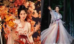 Rộ tin Dương Mịch rút khỏi phim đang quay 'Hồ yêu tiểu hồng nương' sau khi bị thương ở mắt khiến người hâm mộ lo lắng