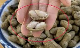 Khi luộc lạc chỉ cho muối thôi là chưa đủ, cho thêm 3 vị này vào thì lạc vừa thơm vừa siêu ngon