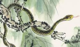 Tuổi Tỵ sinh giờ nào sẽ là 'con rắn vàng lớn”, được quý nhân phù trợ trong công việc làm ăn, Thần Tài luôn ở bên cạnh bạn!