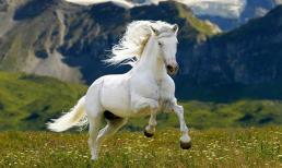 Ngày mai, Rằm tháng 6 âm lịch: 3 con giáp đón vận may hiếm có, tài lộc rực sáng, cuộc sống lên hương viên mãn