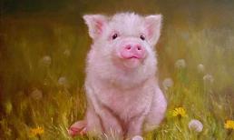 Định mệnh an bài: Trong 7 ngày tới, 3 con giáp vận may tới tấp, không phải lo lắng về tiền bạc 