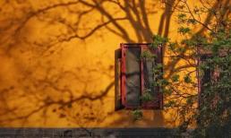 Hãy chắc chắn nói với con bạn về bốn điều quan trọng nhất trong cuộc sống