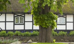 Ngoài cửa sổ phạm phải lỗi cấm kỵ này, vận xui kéo tới, tai họa liên tiếp, sự nghiệp - tài lộc - sức khỏe của gia chủ không được yên ổn