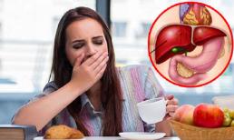 3 món ăn sáng có thể gọi là 'vua hại gan', càng ăn nhiều, chức năng gan càng 'yếu', vì vậy hãy ngậm miệng càng sớm càng tốt!