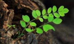 Vị thiền sư già nhắc nhở: Con người khi gặp chuyện xui xẻo phải tránh xa 3 người này kẻo mang họa vào thân