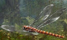 Các nhà khoa học tin rằng khủng long có thể chưa bị tuyệt chủng, chúng đã tiến hóa thành loài mới